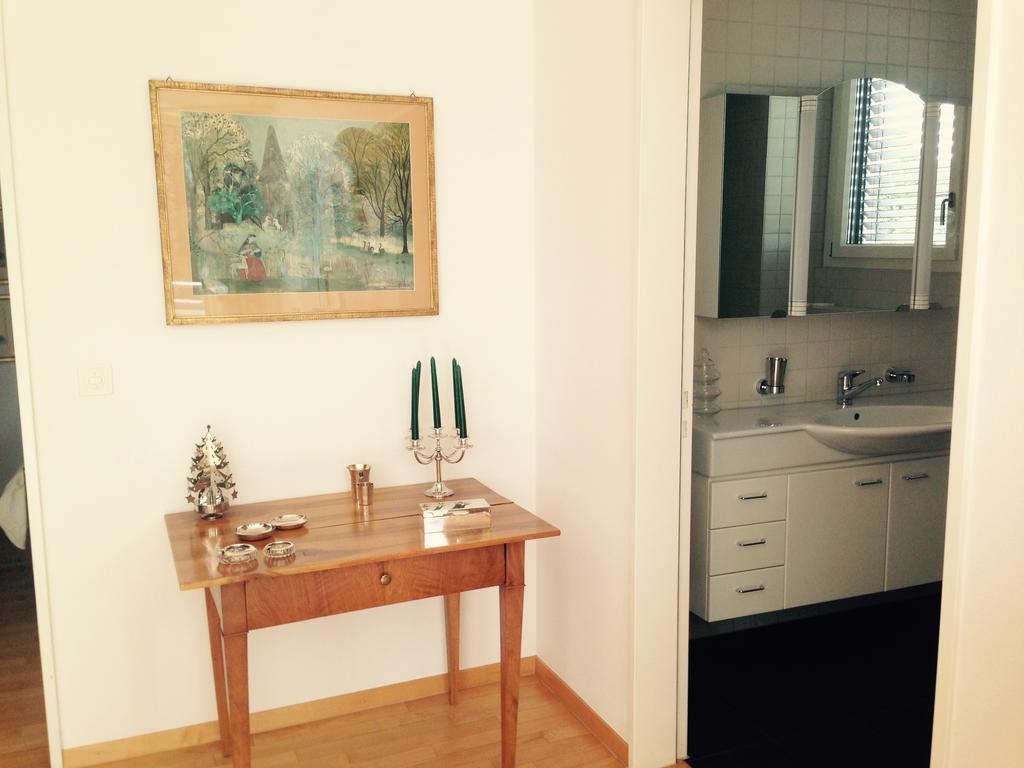 Avliving Flat With Roof Garden * Bâle