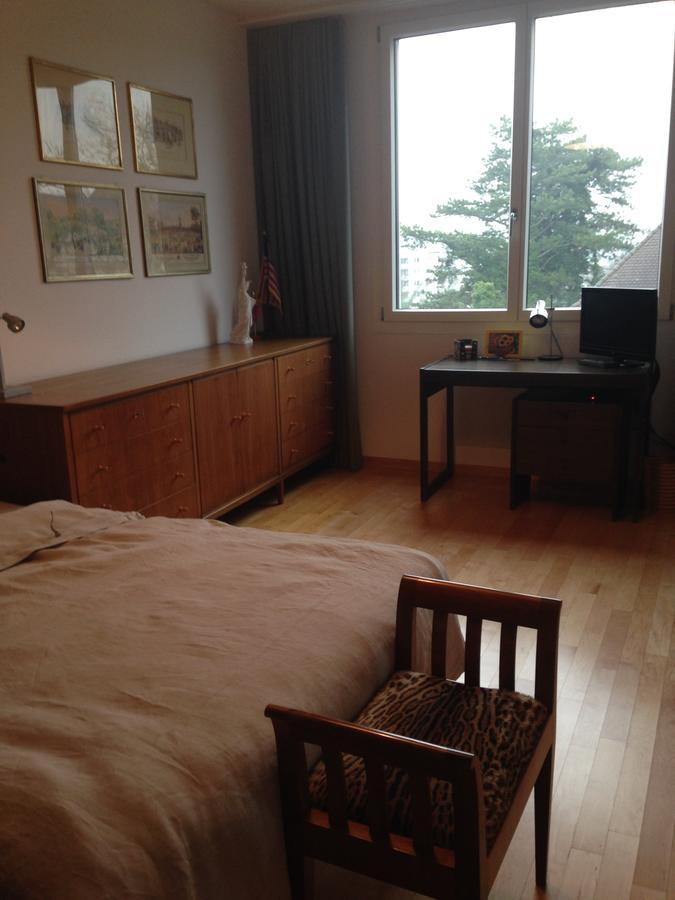 Avliving Flat With Roof Garden * Bâle